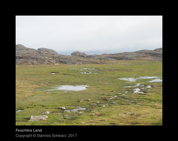 Feuchtes Land