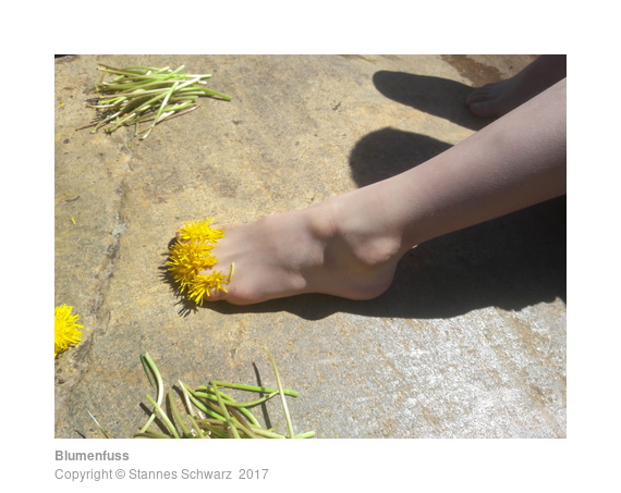Blumenfuss