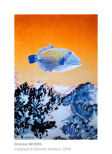 Ein Drückerfisch in Komplemänterfarben gemalt