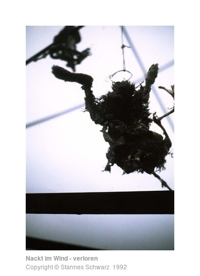 Nackt im Wind - verloren