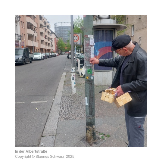 In der Albertstraße