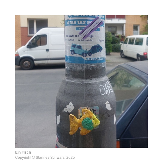 Ein Fisch